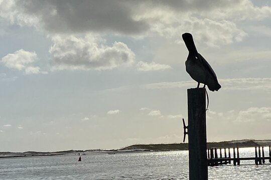 Tour image 4